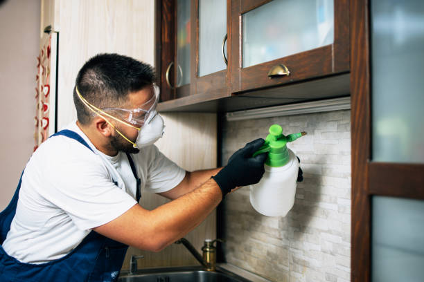 Insect Control in Issaquah, WA