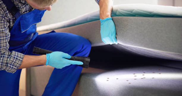 Best Residential Pest Control  in Issaquah, WA