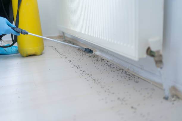 Best Wildlife Control Services  in Issaquah, WA
